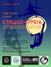 THRIVE YOUTH CIRCUS TROUPE